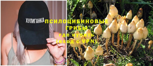 бошки Баксан