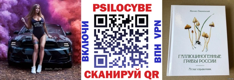 Купить где Глазов Псилоцибиновые грибы Psilocybe